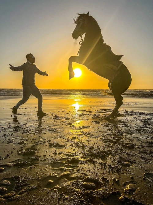 Horseback Riding - Les Cavaliers D’Essaouira - activities for rent in essaouira - RENTS.ma