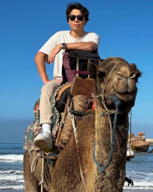 Camel Ride in Paradise – Essaouira - activities for rent in essaouira - RENTS.ma