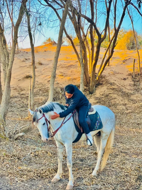 Horseback Riding in Essaouira - activities for rent in essaouira - RENTS.ma