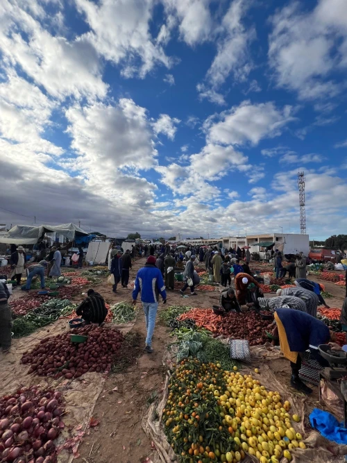 Berber Market & Historic Sucrerie Excursion with Traditional Lunch - activities for rent in essaouira - RENTS.ma