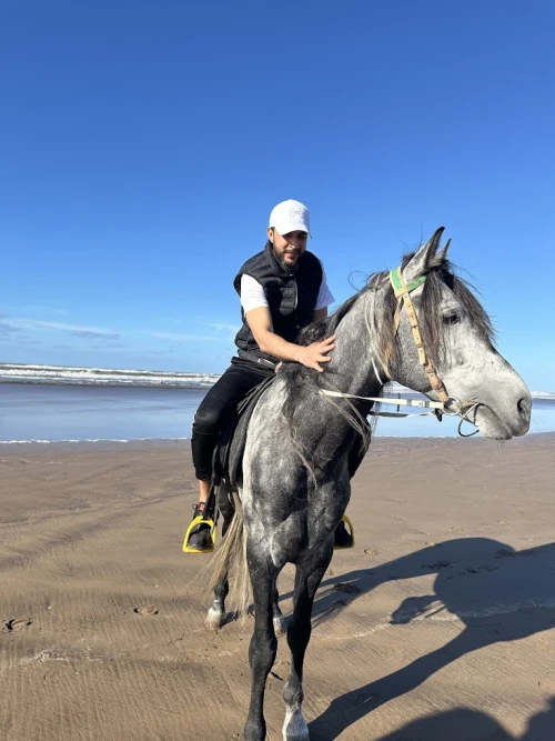 Horseback Riding El Jadida - Club d'équitation - activities for rent in el-jadida - RENTS.ma