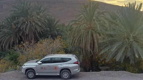 Service Transfers Marrakech - Transportation service in Marrakesh - airport-taxis for rent in marrakech - RENTS.ma