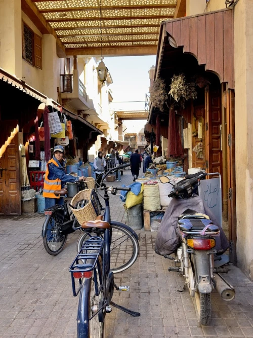 Bicycle rental service in Marrakesh - bicycles for rent in marrakech - RENTS.ma