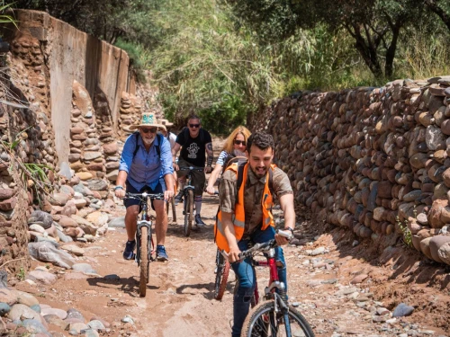 Bicycle rental service in Marrakesh - bicycles for rent in marrakech - RENTS.ma