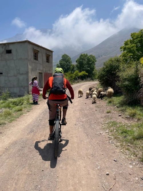 Biking day trip Atlas Mountains - bicycles for rent in marrakech - RENTS.ma