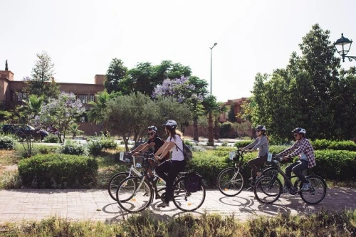 La meilleure demi-journée à vélo à Marrakech - bicycles for rent in marrakech - RENTS.ma