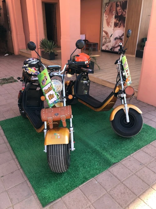 Rental Bike at Marrakech By Go_Green - bicycles for rent in marrakech - RENTS.ma