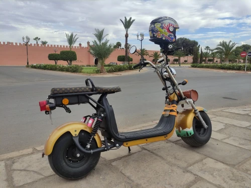 location des scooters électriques et velo - bicycles for rent in marrakech - RENTS.ma