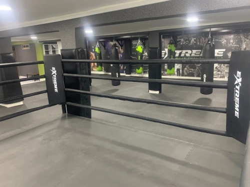 Extreme Muay Thai Training – Authentic Fight & Fitness in Marrakech - boxing for rent in marrakech - RENTS.ma