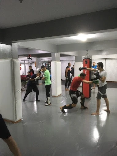 Octogone BJJ & MMA – Elite Martial Arts Training in Agadir - boxing for rent in agadir - RENTS.ma