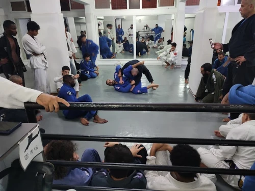 Octogone BJJ & MMA – Elite Martial Arts Training in Agadir - boxing for rent in agadir - RENTS.ma