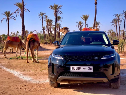 Location Range Rover Evoque - Marrakech - cars for rent in marrakech - RENTS.ma