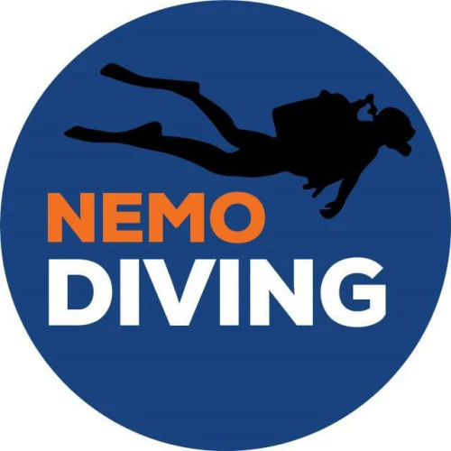 Scuba & Snorkelling in Tanger - Nemo diving - diving for rent in tangier - RENTS.ma