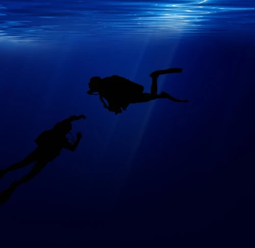 Programme de Plongée Nocturne à la Plage de Bouatlaha – Dakhla - diving for rent in dakhla - RENTS.ma