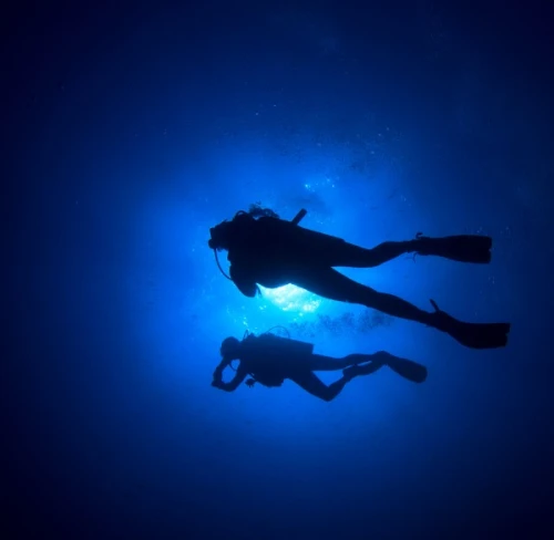 Programme de Plongée Nocturne à la Plage de Bouatlaha – Dakhla - diving for rent in dakhla - RENTS.ma