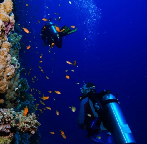 Programme de Plongée pour Enfants  Dakhla – Aventure Maritime Amusante et Sûre - diving for rent in dakhla - RENTS.ma