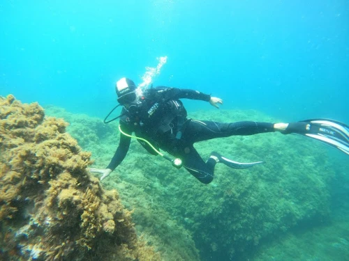 Moroccan Diving Center – Al Hoceima - diving for rent in hoceima - RENTS.ma