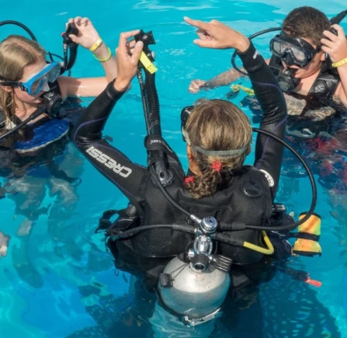 Moroccan Diving Center – Al Hoceima - diving for rent in hoceima - RENTS.ma