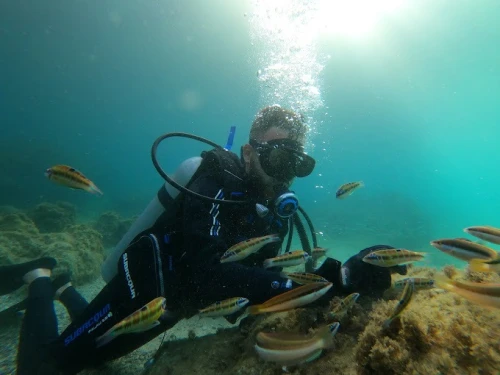 Alhoceima Scuba Trip - Plongée sous-marine - diving for rent in hoceima - RENTS.ma