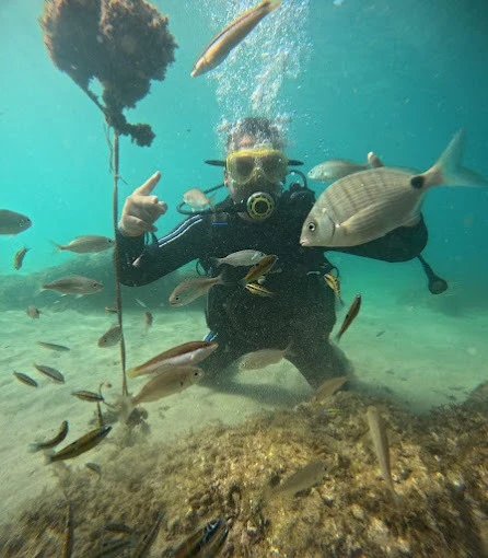 Alhoceima Scuba Trip - Plongée sous-marine - diving for rent in hoceima - RENTS.ma