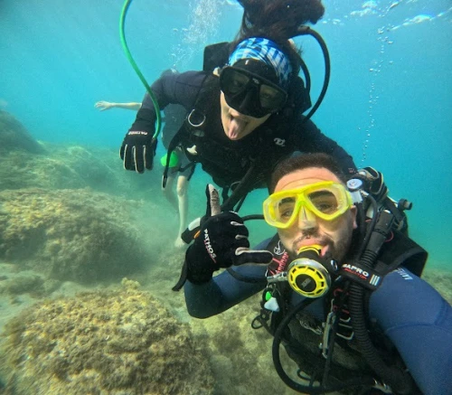 Alhoceima Scuba Trip - Plongée sous-marine - diving for rent in hoceima - RENTS.ma