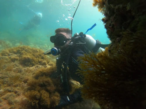 Alhoceima Scuba Trip - Plongée sous-marine - diving for rent in hoceima - RENTS.ma