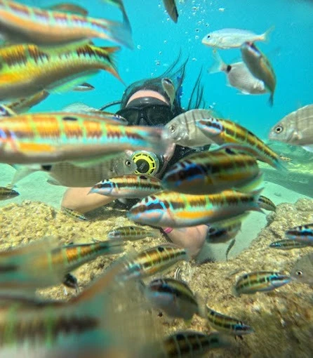 Alhoceima Scuba Trip - Plongée sous-marine - diving for rent in hoceima - RENTS.ma