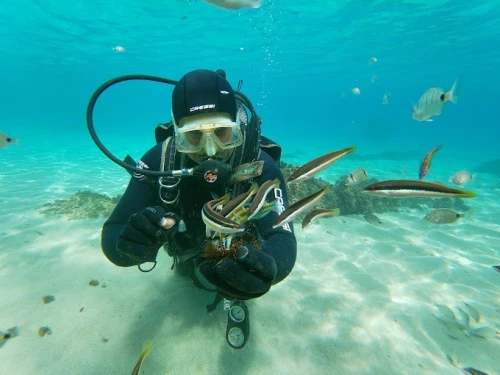 Alhoceima Scuba Trip - Plongée sous-marine - diving for rent in hoceima - RENTS.ma