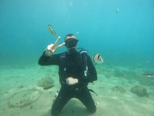 Diving Adventures at Al Hoceima Club Plage Cala Bonita - diving for rent in hoceima - RENTS.ma