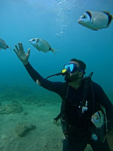 Diving Adventures at Al Hoceima Club Plage Cala Bonita - diving for rent in hoceima - RENTS.ma