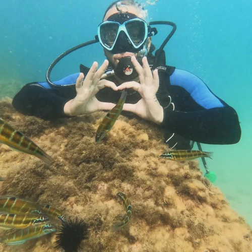 Anass Diving & Marine Sports - Al Hoceima Diving Adventures - diving for rent in hoceima - RENTS.ma