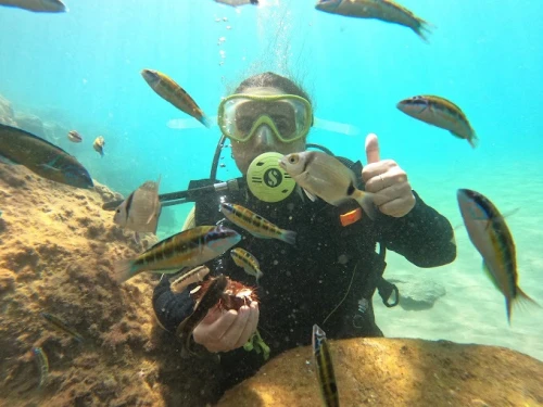 Anass Diving & Marine Sports - Al Hoceima Diving Adventures - diving for rent in hoceima - RENTS.ma