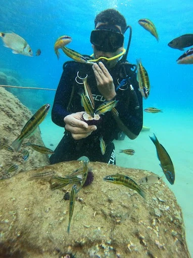 Anass Diving & Marine Sports - Al Hoceima Diving Adventures - diving for rent in hoceima - RENTS.ma