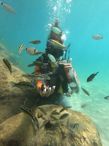 Anass Diving & Marine Sports - Al Hoceima Diving Adventures - diving for rent in hoceima - RENTS.ma