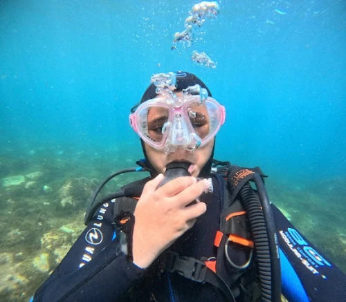 ScubaLife Belyounech - Dive into the Beauty of the Mediterranean - diving for rent in hoceima - RENTS.ma