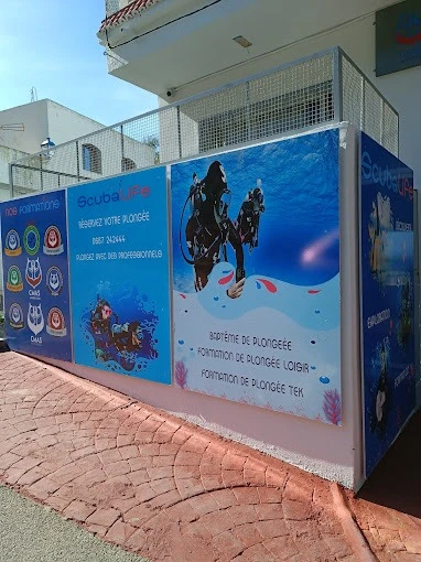 ScubaLife Belyounech - Dive into the Beauty of the Mediterranean - diving for rent in hoceima - RENTS.ma