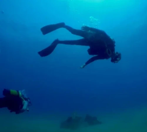 3-Day Scuba Diving Adventure in Nador – Samuku Adventures - diving for rent in nador - RENTS.ma