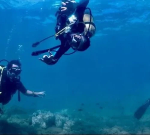 PADI Scuba Diving Courses – Samuku Adventures - diving for rent in nador - RENTS.ma