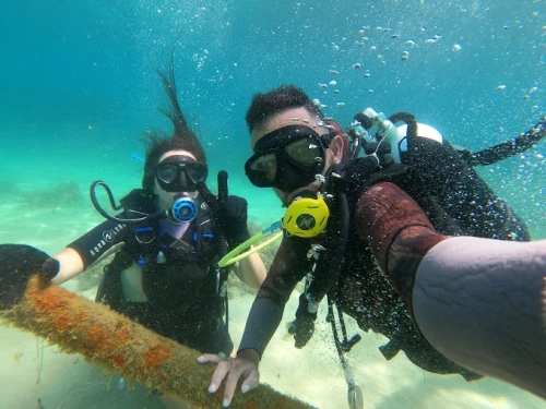 Al Hoceima Scuba Trip – Explorez les profondeurs méditerranéennes - diving for rent in hoceima - RENTS.ma