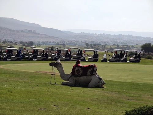 Golf Taghazout - golf club - golf for rent in taghazout - RENTS.ma