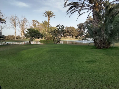 Tikida Golf Palace - golf club agadir - golf for rent in agadir - RENTS.ma