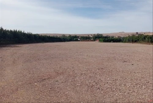Terrain 2ha aménagé pour stockage de véhicules à la location Merchiche - lands for rent in casablanca - RENTS.ma