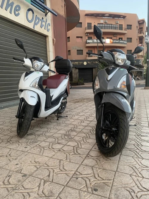 Oasis Road  - Scooter Rental in Marrakech - scooters for rent in marrakech - RENTS.ma