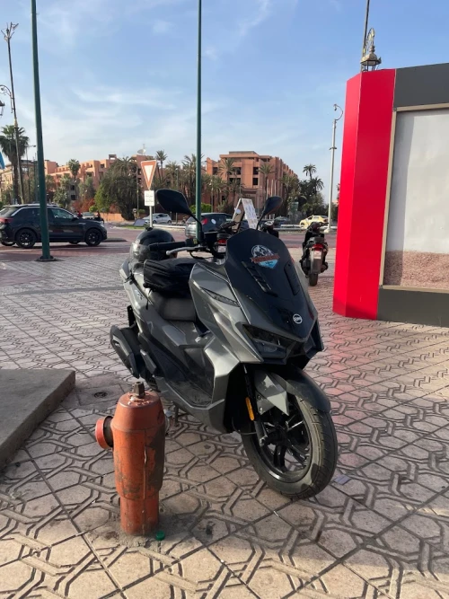 Scooter Rental in Marrakech – Explore the City in Style - scooters for rent in marrakech - RENTS.ma