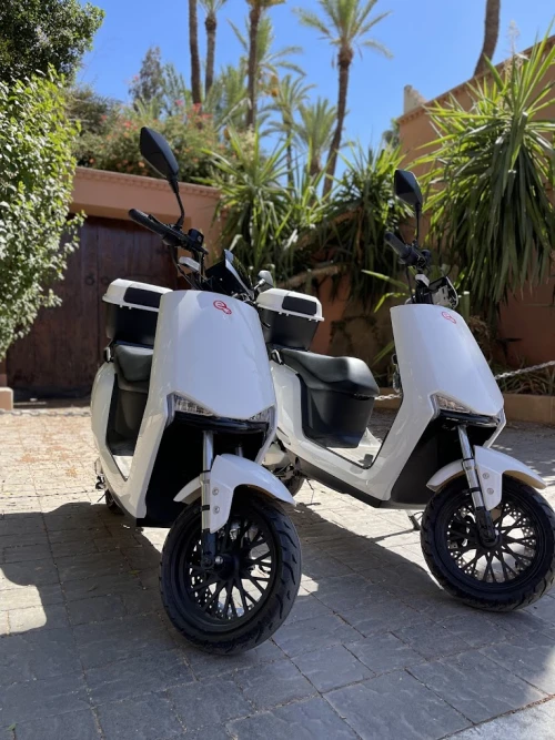 Location Scooter Électrique Marrakech - scooters for rent in marrakech - RENTS.ma