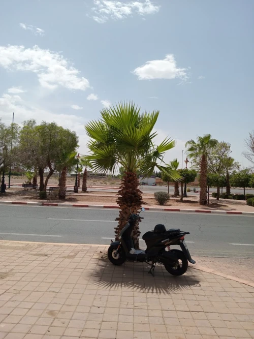 Moto 2 kech - scooters rental marrakech - scooters for rent in marrakech - RENTS.ma