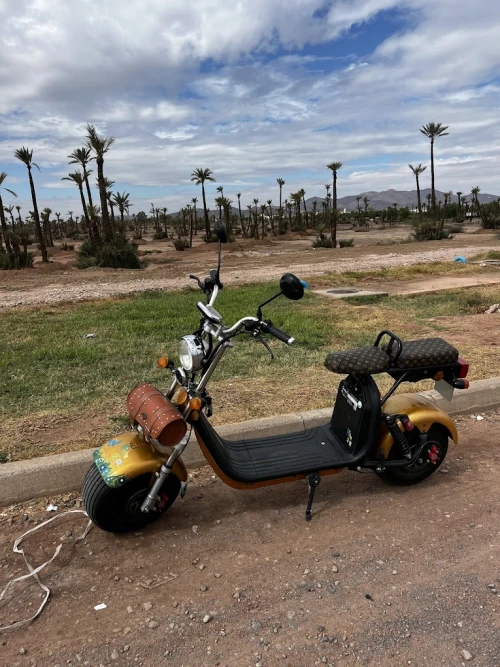 Citycoco Scooter - scooters rental marrakech - scooters for rent in marrakech - RENTS.ma