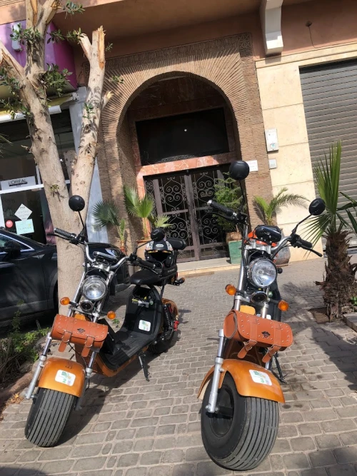 Citycoco Scooter - scooters rental marrakech - scooters for rent in marrakech - RENTS.ma
