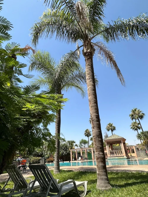 Urban Padel Marrakech - tennis club - tennis for rent in marrakech - RENTS.ma