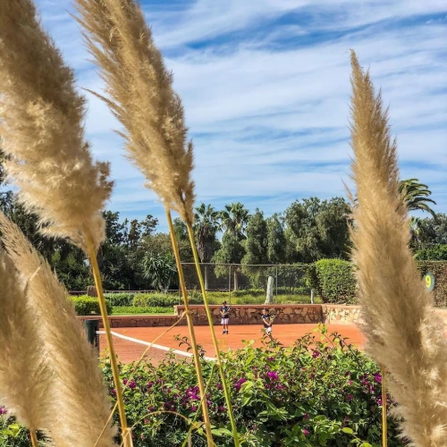 Coach Tennis Professionnel - Agadir - tennis for rent in agadir - RENTS.ma